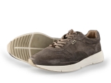 Greve Sneakers