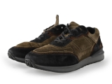 Greve Sneakers