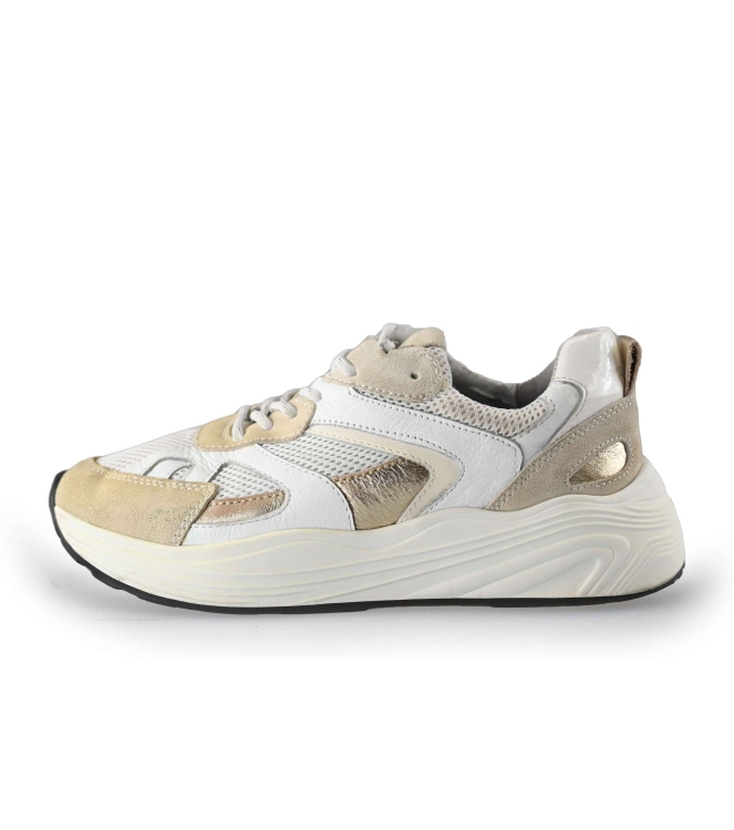 Posh Sneakers