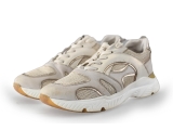 Cks Sneakers