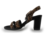 Ann Rocks Pumps