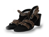 Ann Rocks Pumps