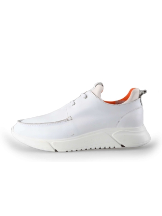  Reinhard Frans Sneakers 224376
 [MAAT] 43
 