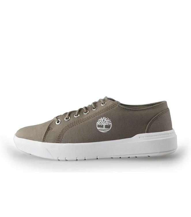 Timberland Sneakers