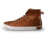 Blackstone Veterboots