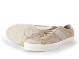 Polo Sneakers