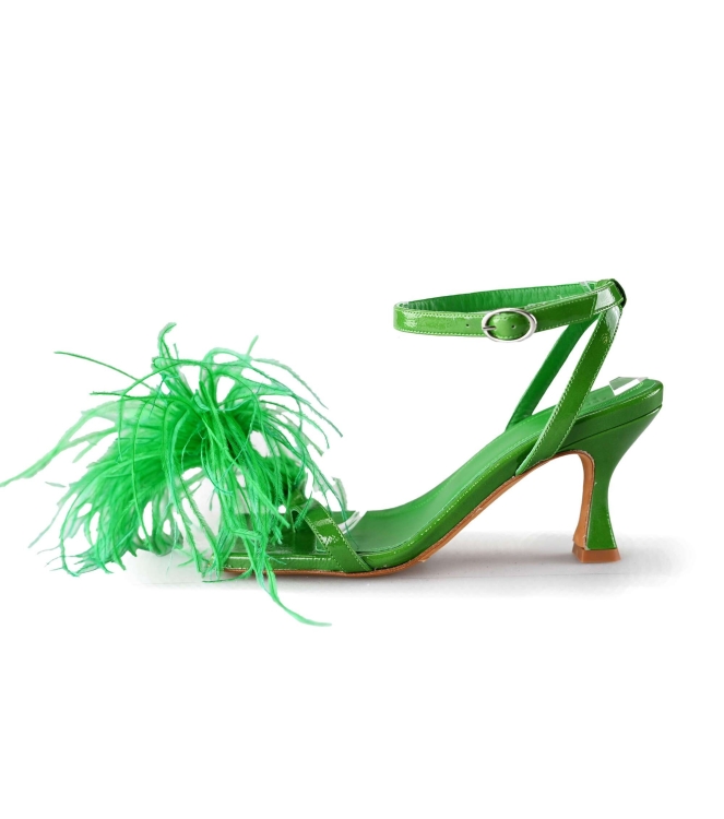 Toral Pumps