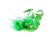 Toral Pumps