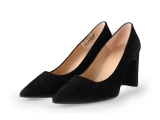 Nelson Pumps