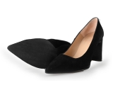 Nelson Pumps