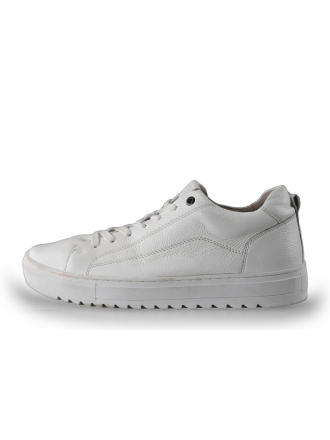  Nelson Sneakers 228151
 [MAAT] 40
 