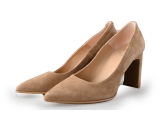 Nelson Pumps