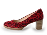 Gabor Pumps