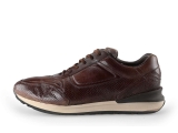 Greve Sneakers