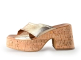 Notre-V Pumps