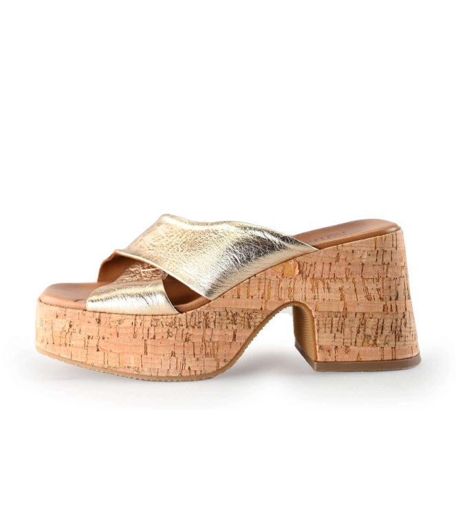 Notre-V Pumps