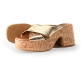 Notre-V Pumps