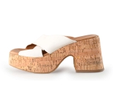 Notre-V Pumps