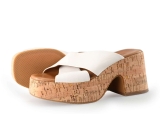 Notre-V Pumps