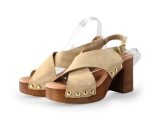 Notre-V Pumps