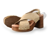 Notre-V Pumps