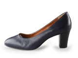 Nelson Pumps