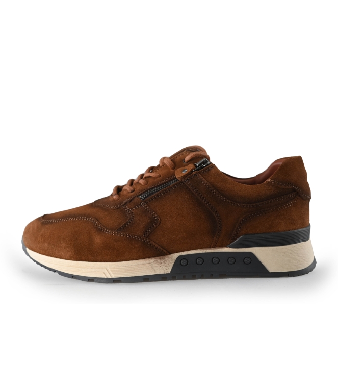 Greve Sneakers