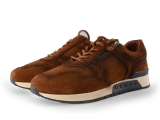Greve Sneakers