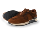 Greve Sneakers