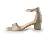 Cimarron Pumps