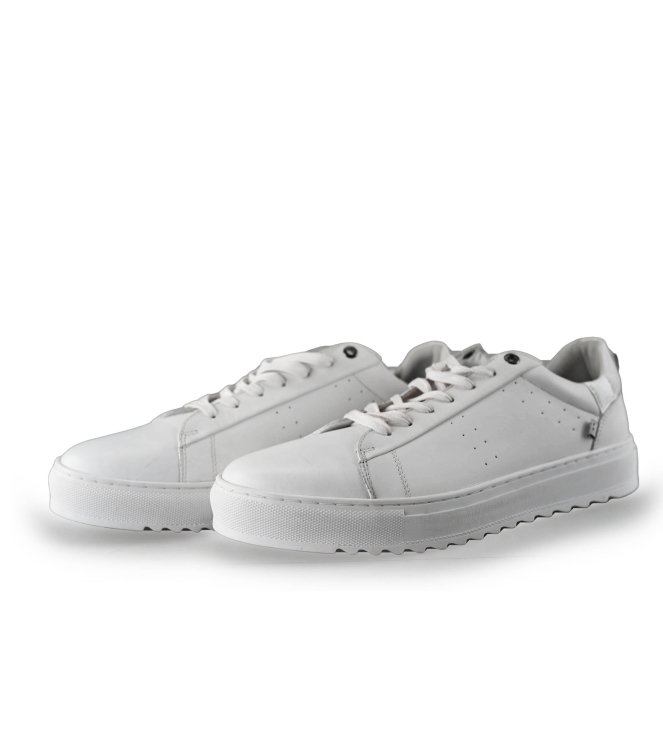 J.C. Rags Sneakers