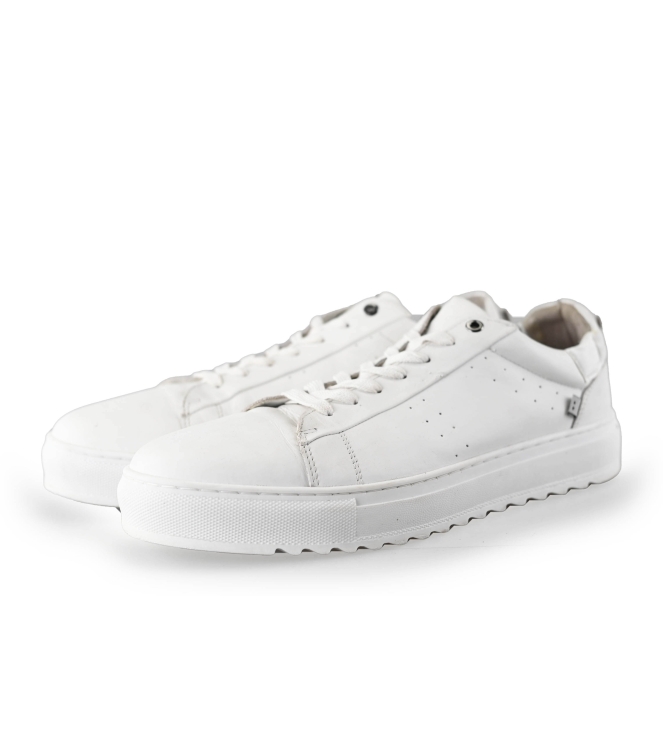 J.C. Rags Sneakers