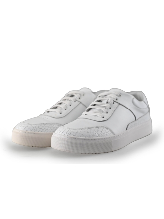  Manfield Sneakers 236250
 [MAAT] 42
 