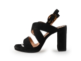 Sacha Pumps