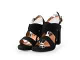 Sacha Pumps