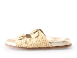 Sacha Slippers
