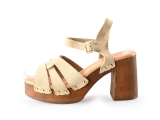 Notre-V Pumps