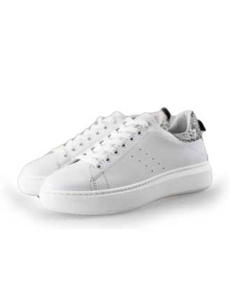  Manfield Sneakers 236711
 [MAAT] 36
 