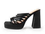 Sacha Pumps