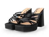Sacha Pumps
