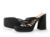 Sacha Pumps