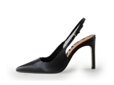 Sacha Pumps