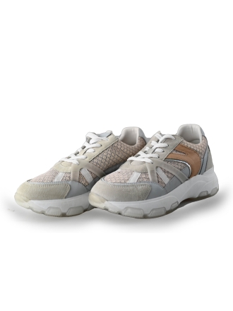  Cks Sneakers 237576
 [MAAT] 36
 