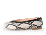 Linea Zeta Ballerina's