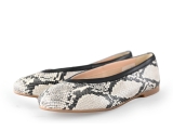 Linea Zeta Ballerina's