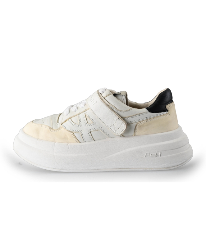 Ash Sneakers