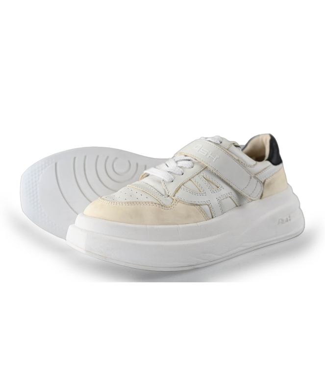 Ash Sneakers