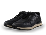 Greve Sneakers