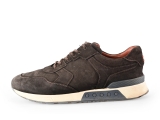 Greve Sneakers