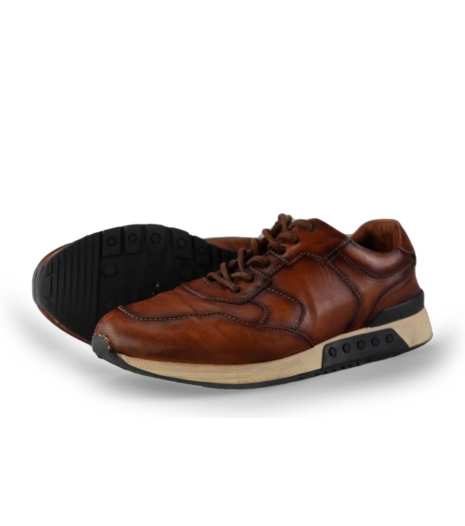 Greve Sneakers